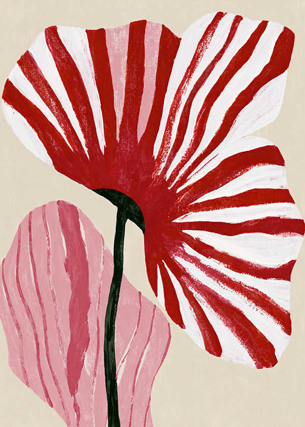 Botanisk plakat med røde stribede kronblade