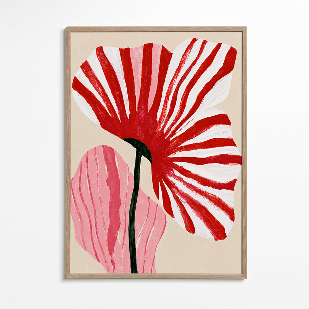 Botanisk plakat med røde stribede kronblade
