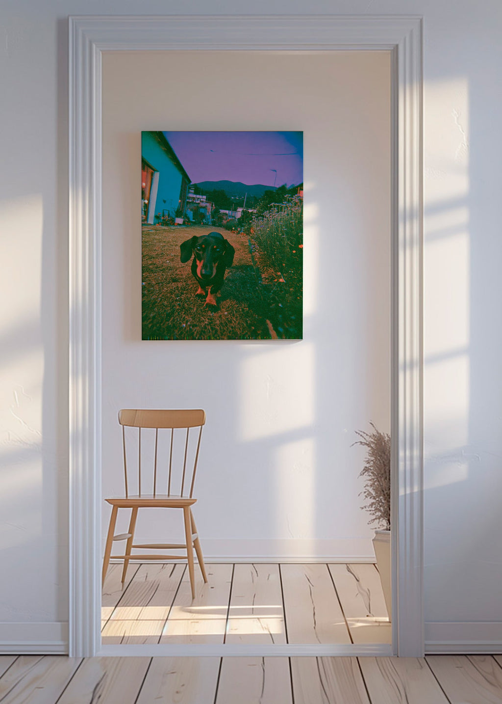 Hund ved skumring fotografi