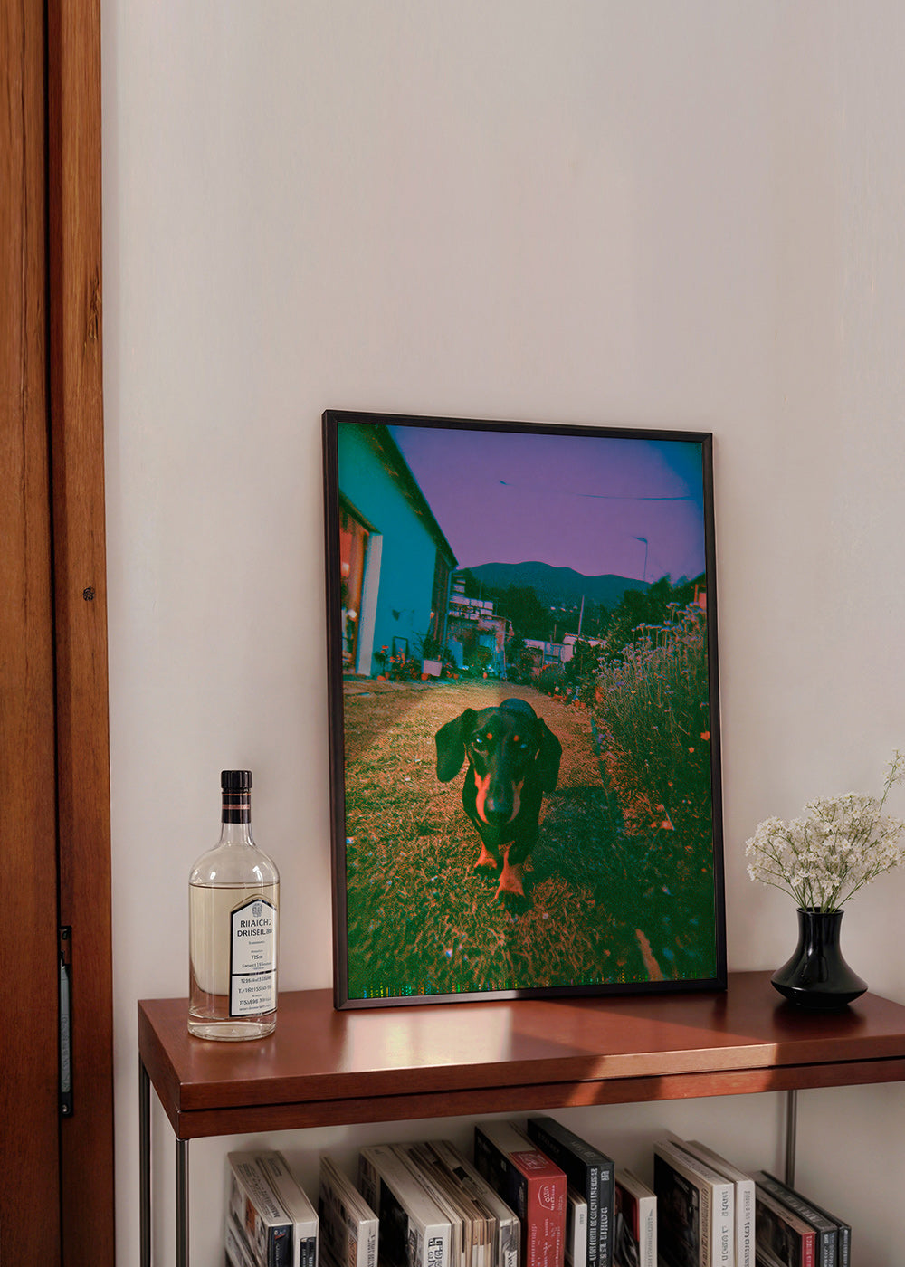Hund ved skumring fotografi