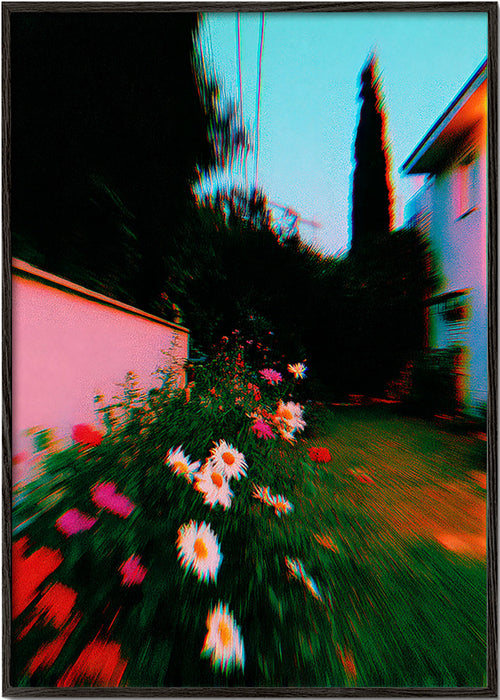 Botanisk plakat med sløret have og margueritter