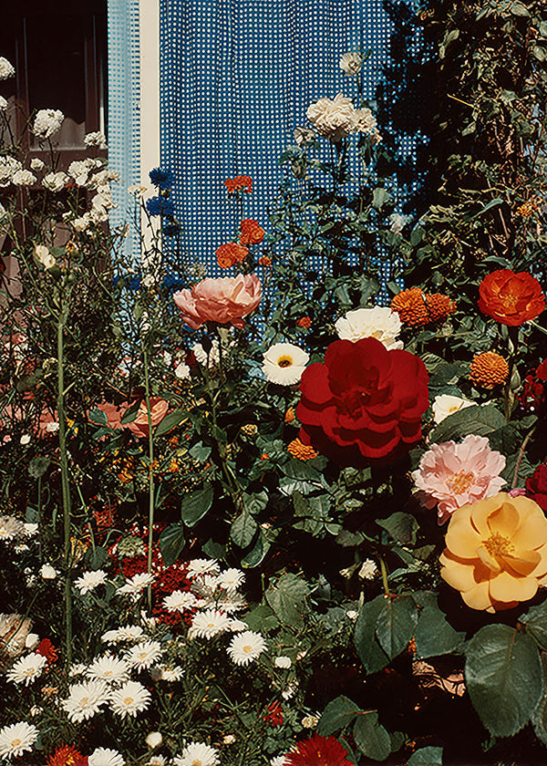Botanisk plakat: blomstrende have