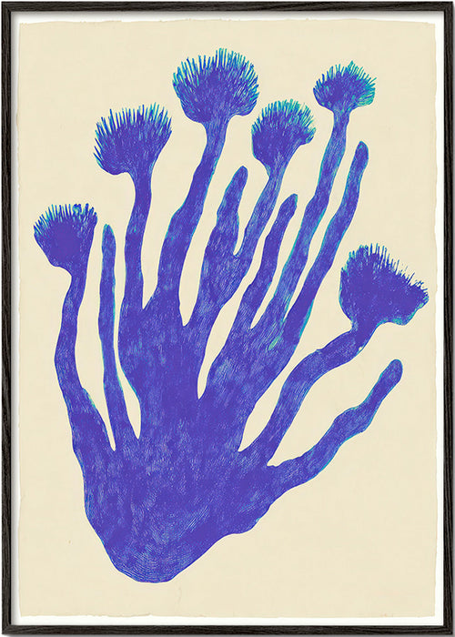 Botanisk plakat Indigo Coral