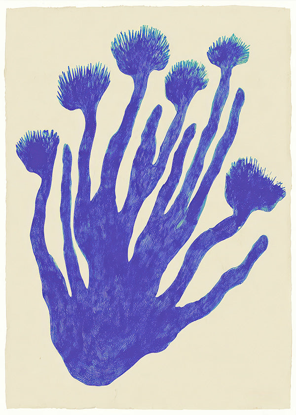 Botanisk plakat Indigo Coral