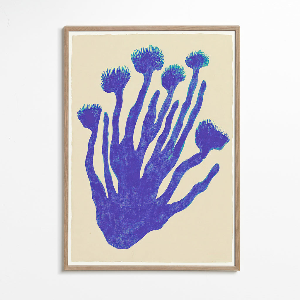 Botanisk plakat Indigo Coral