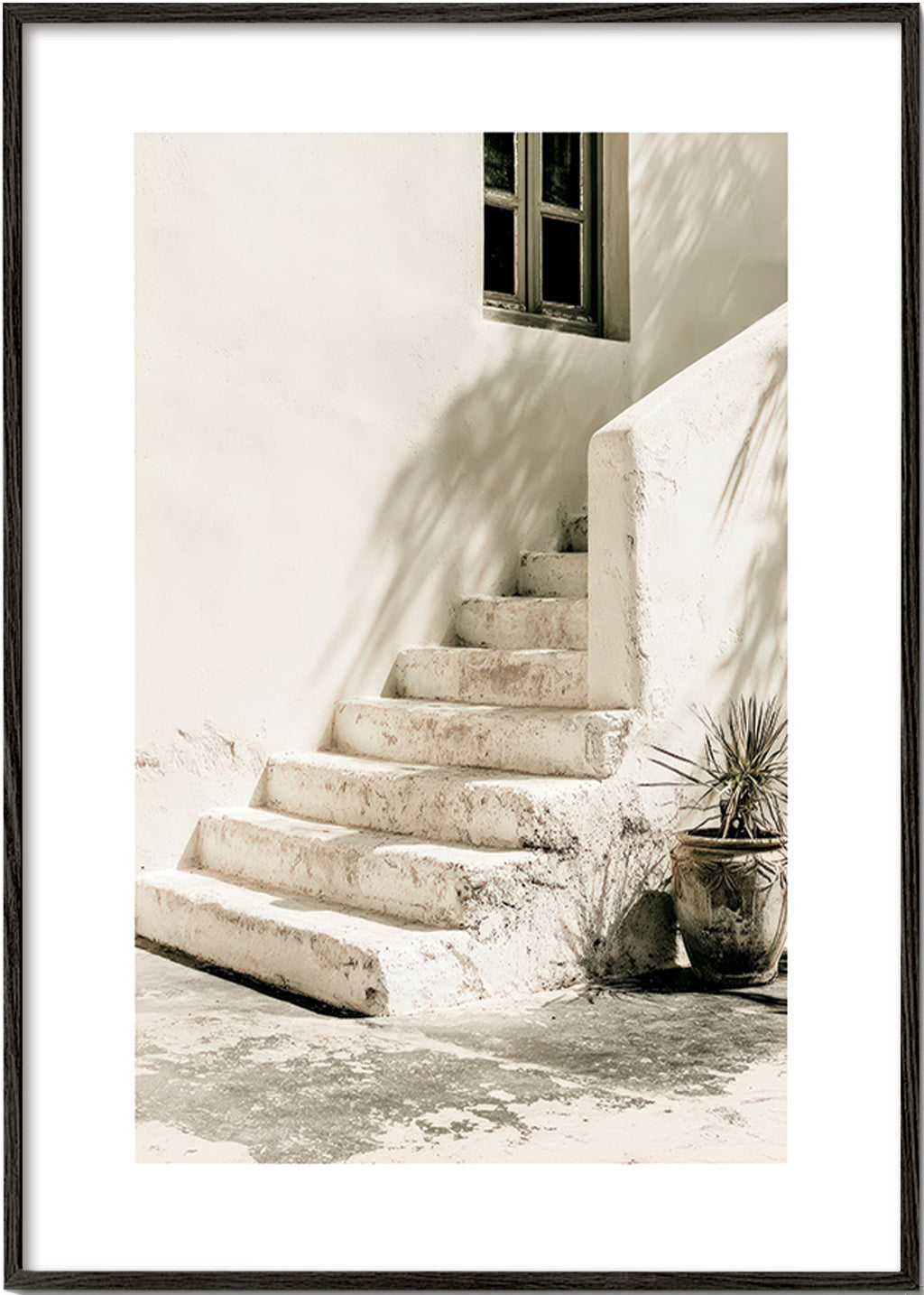 Photograph hvide trin med plante