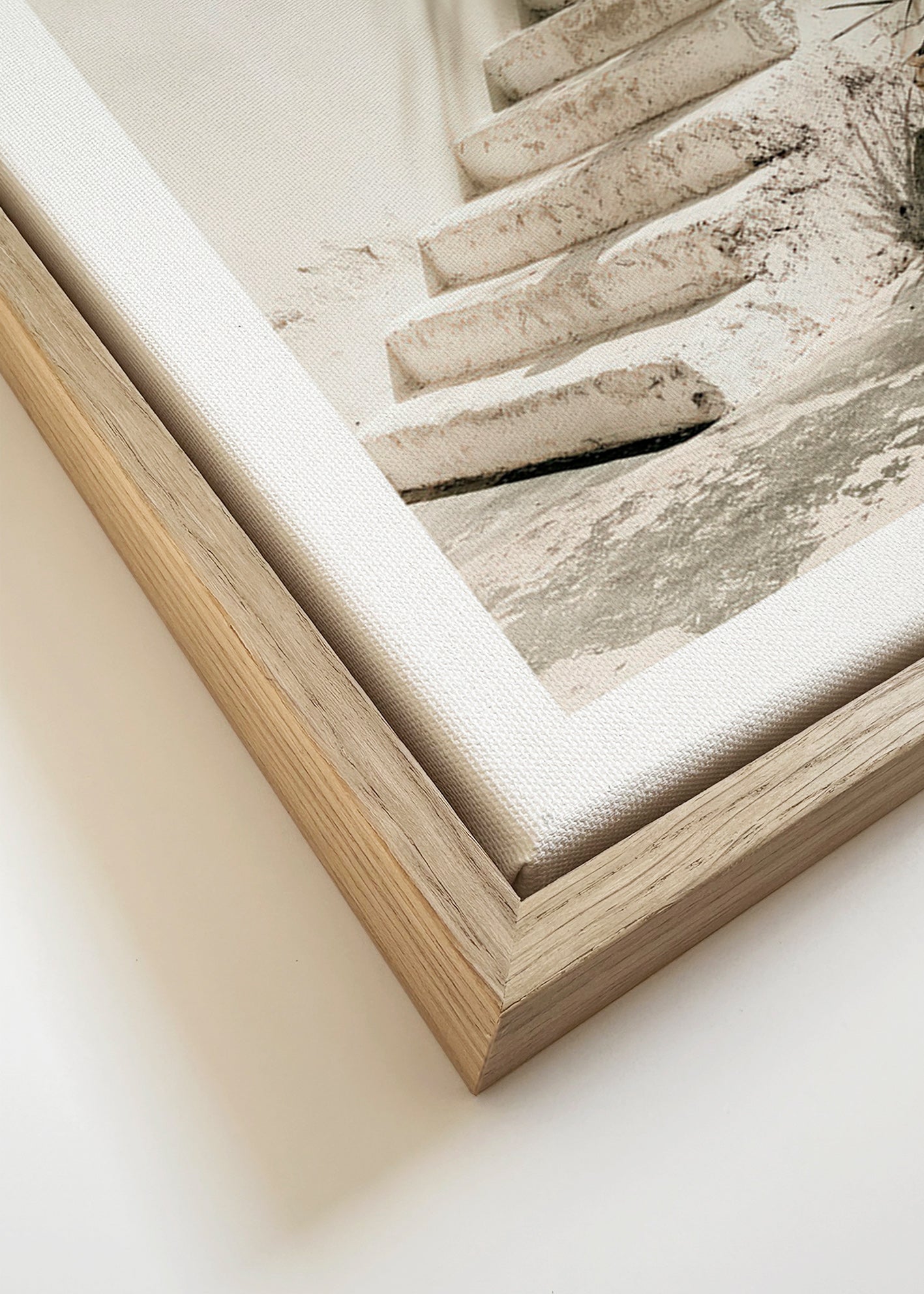Photograph hvide trin med plante