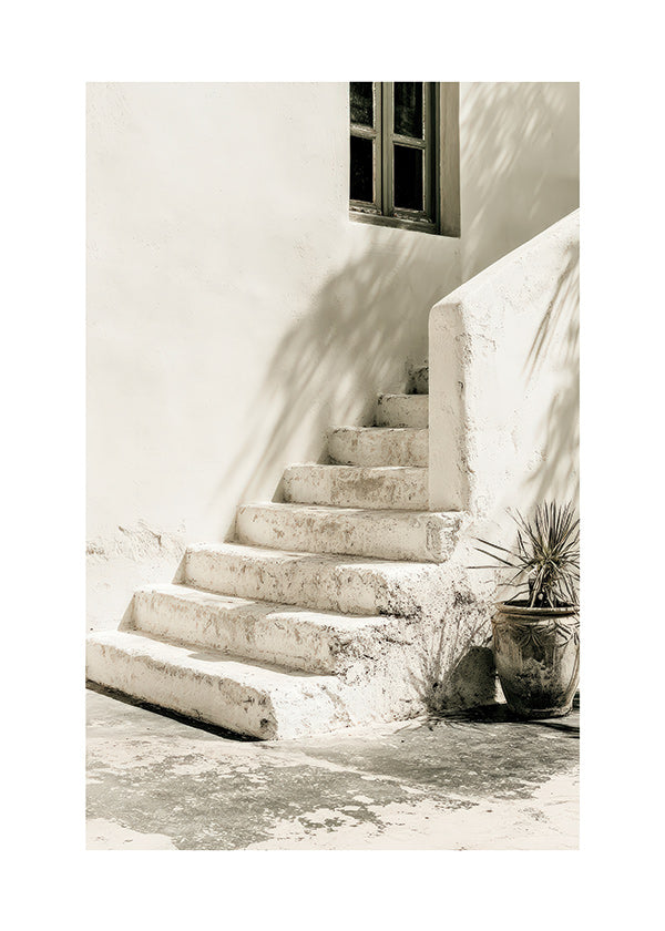 Photograph hvide trin med plante