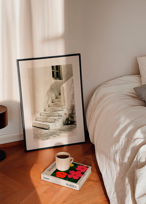 Photograph hvide trin med plante