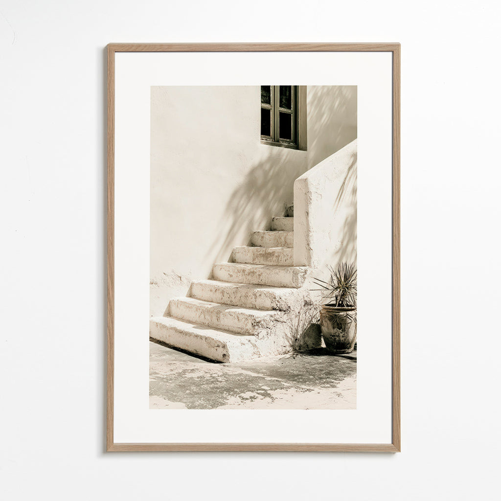 Photograph hvide trin med plante