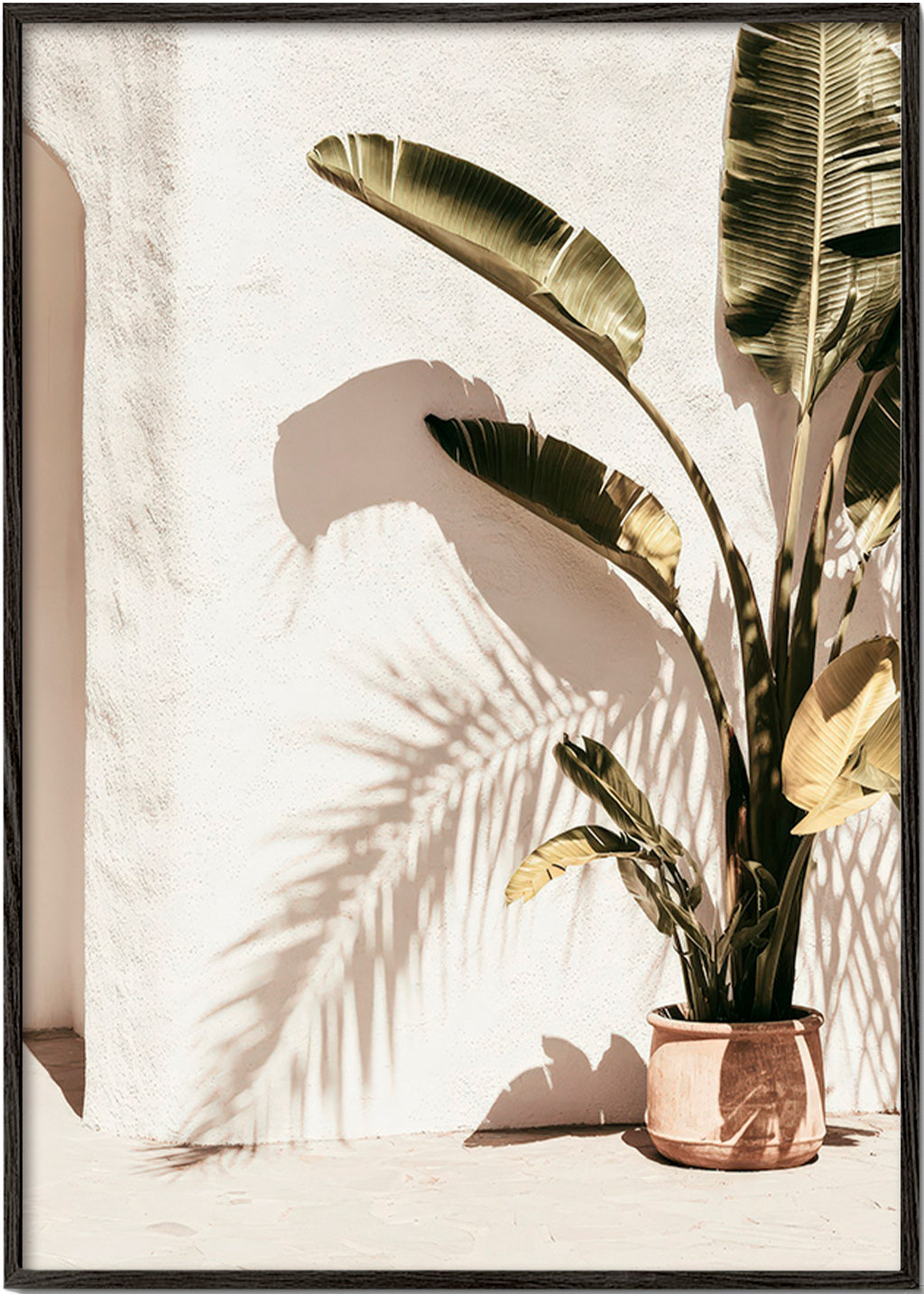 Botanisk plakat: pottepalme