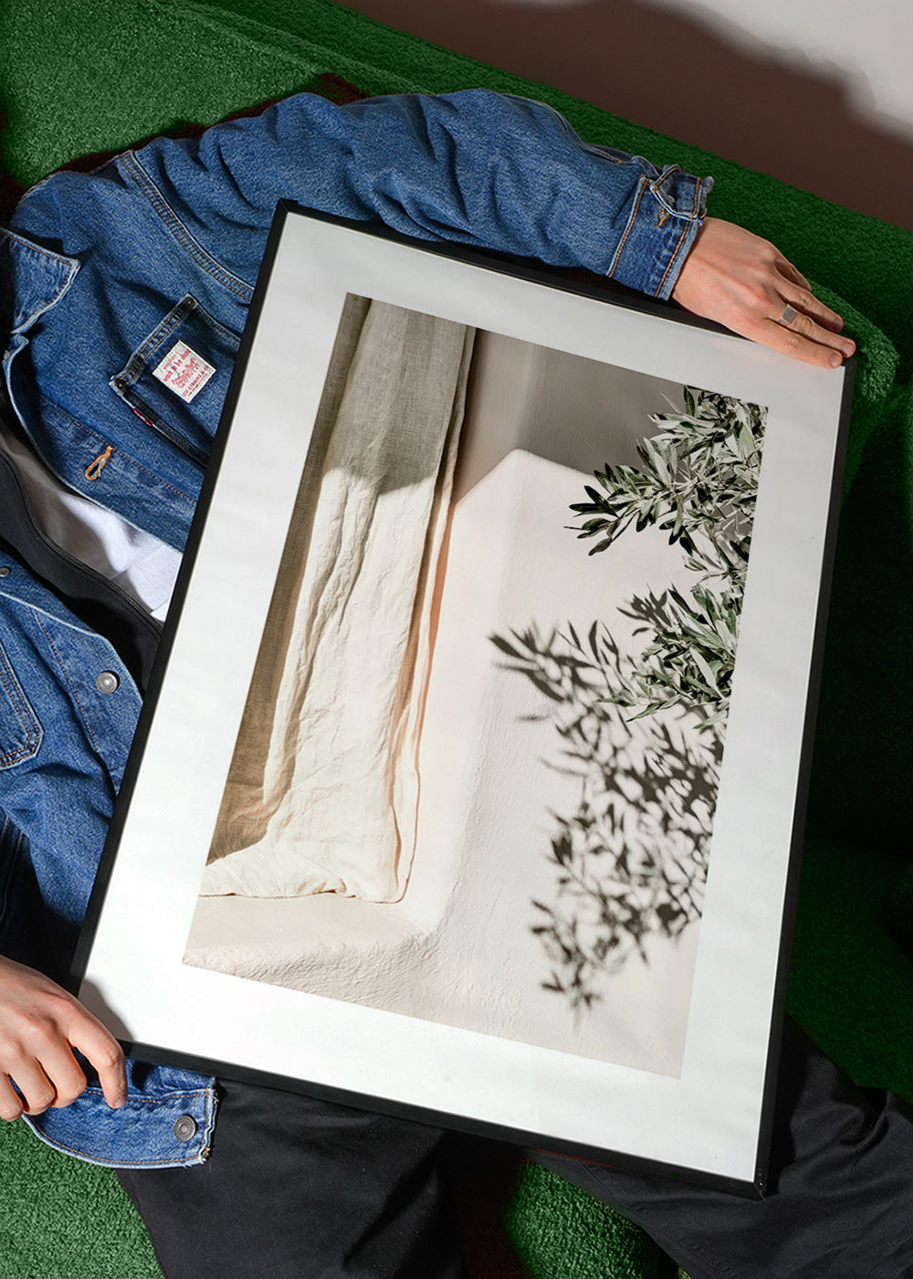 Botanisk plakat hør og olivengren
