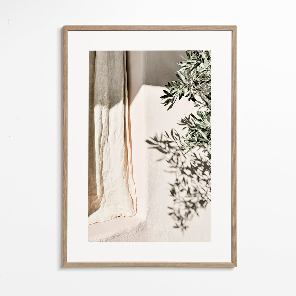 Botanisk plakat hør og olivengren