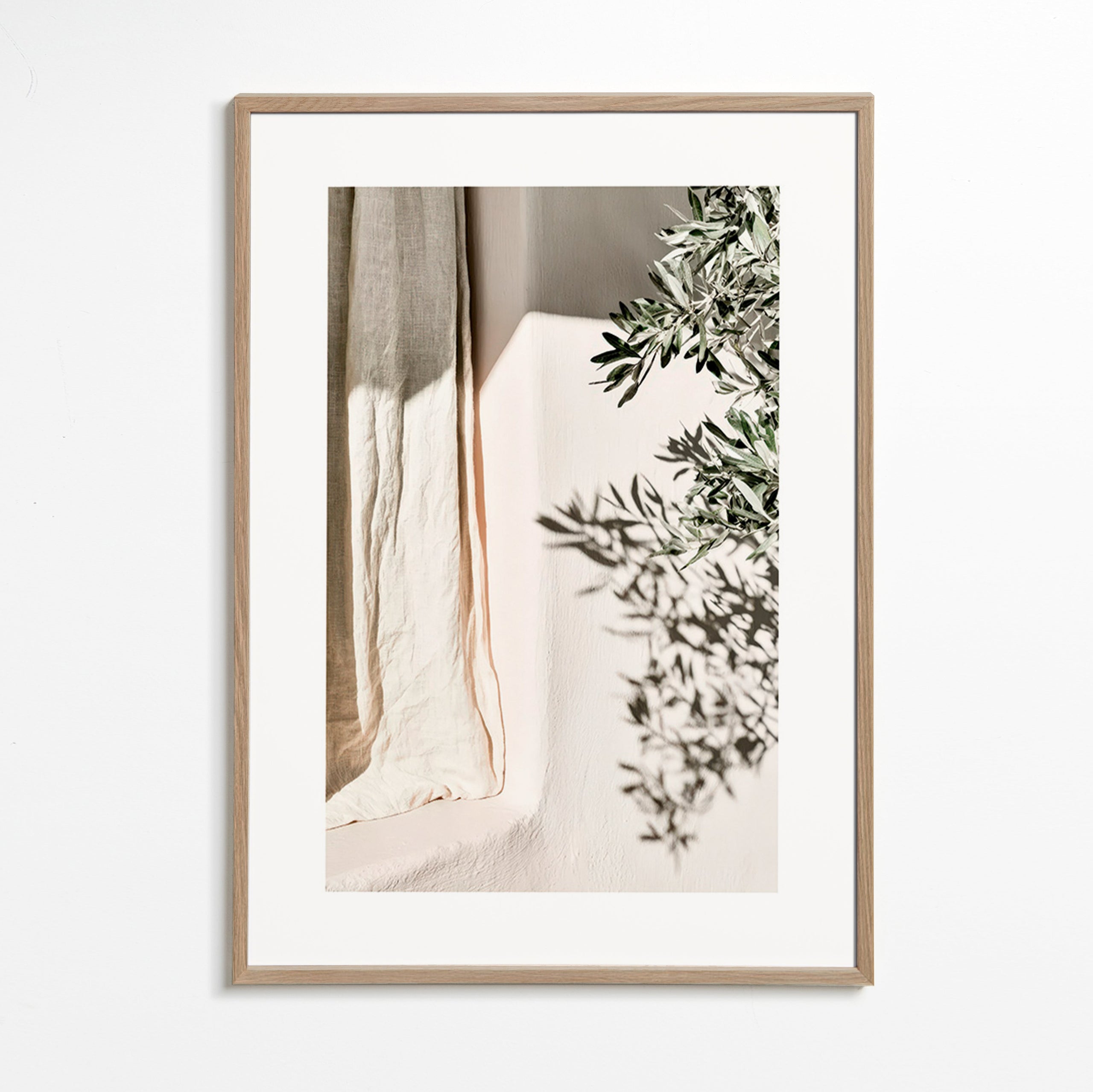 Botanisk plakat hør og olivengren