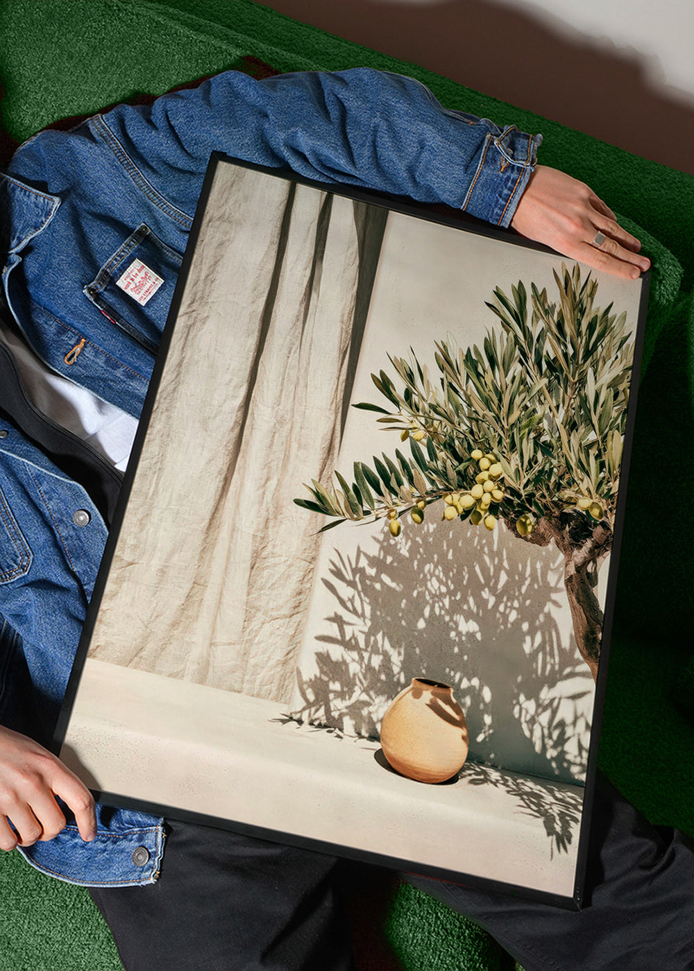 Botanisk plakat olivengren