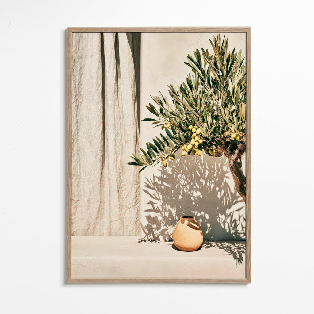 Botanisk plakat olivengren