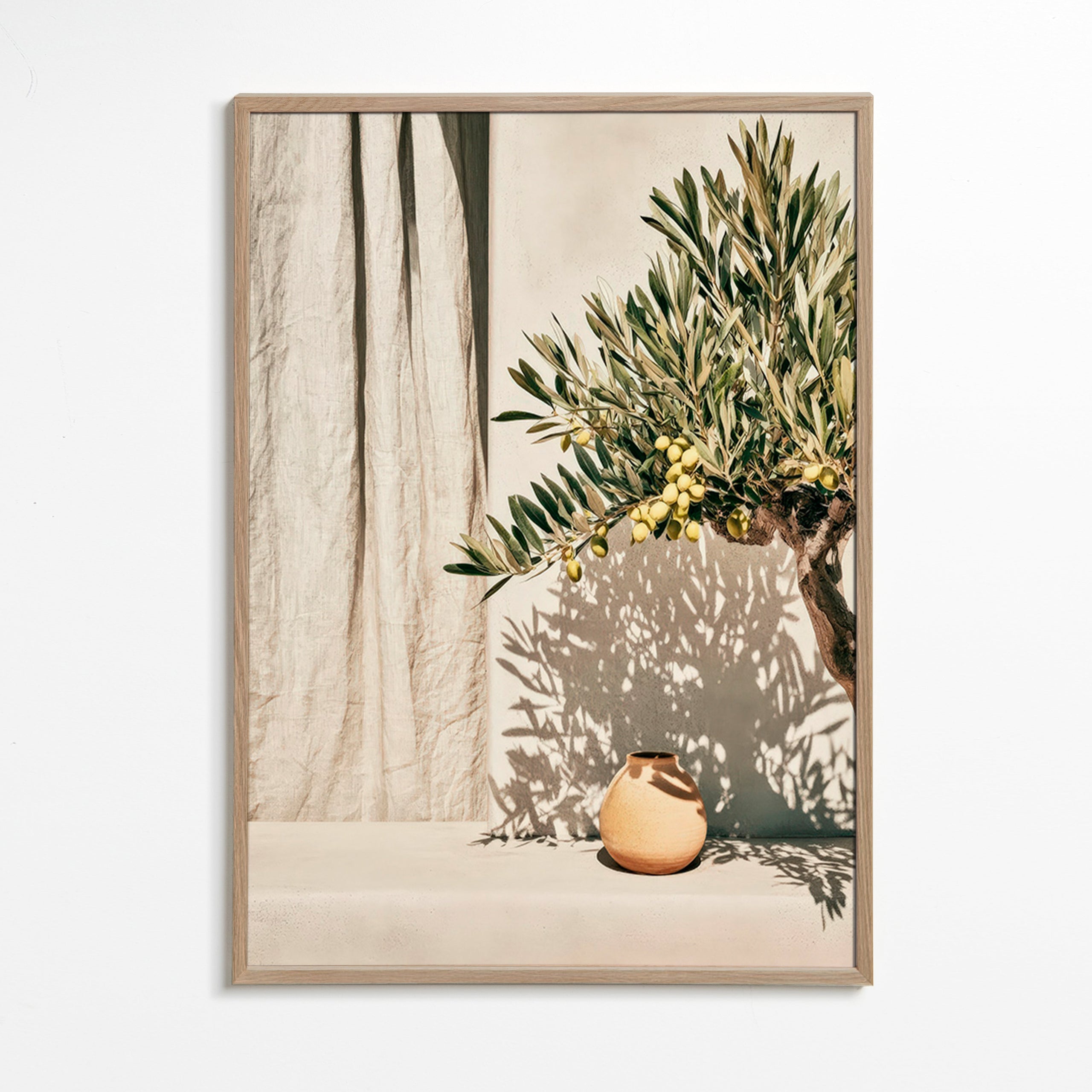 Botanisk plakat olivengren