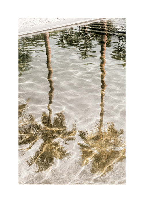 Køkkenkunst palmeafspejlinger