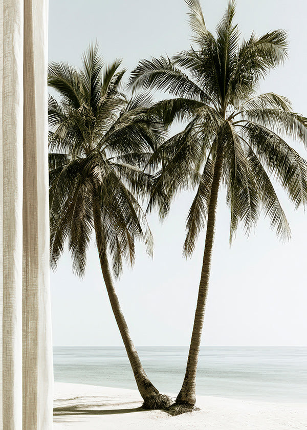Botanisk plakat tvillingpalmer