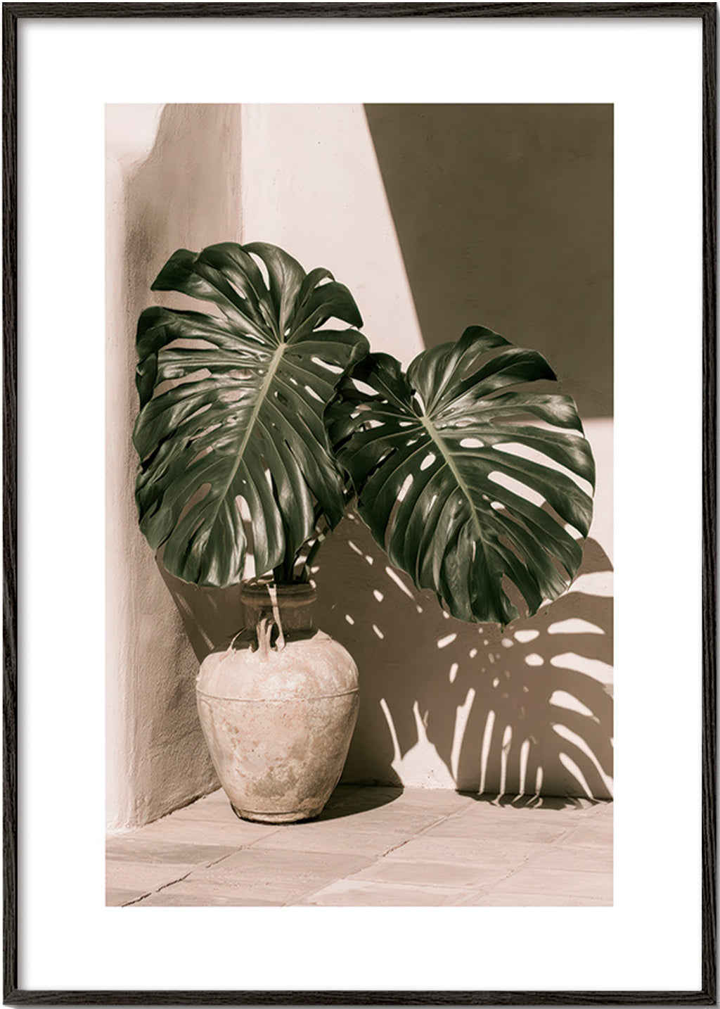 Botanisk plakat Monstera i potte
