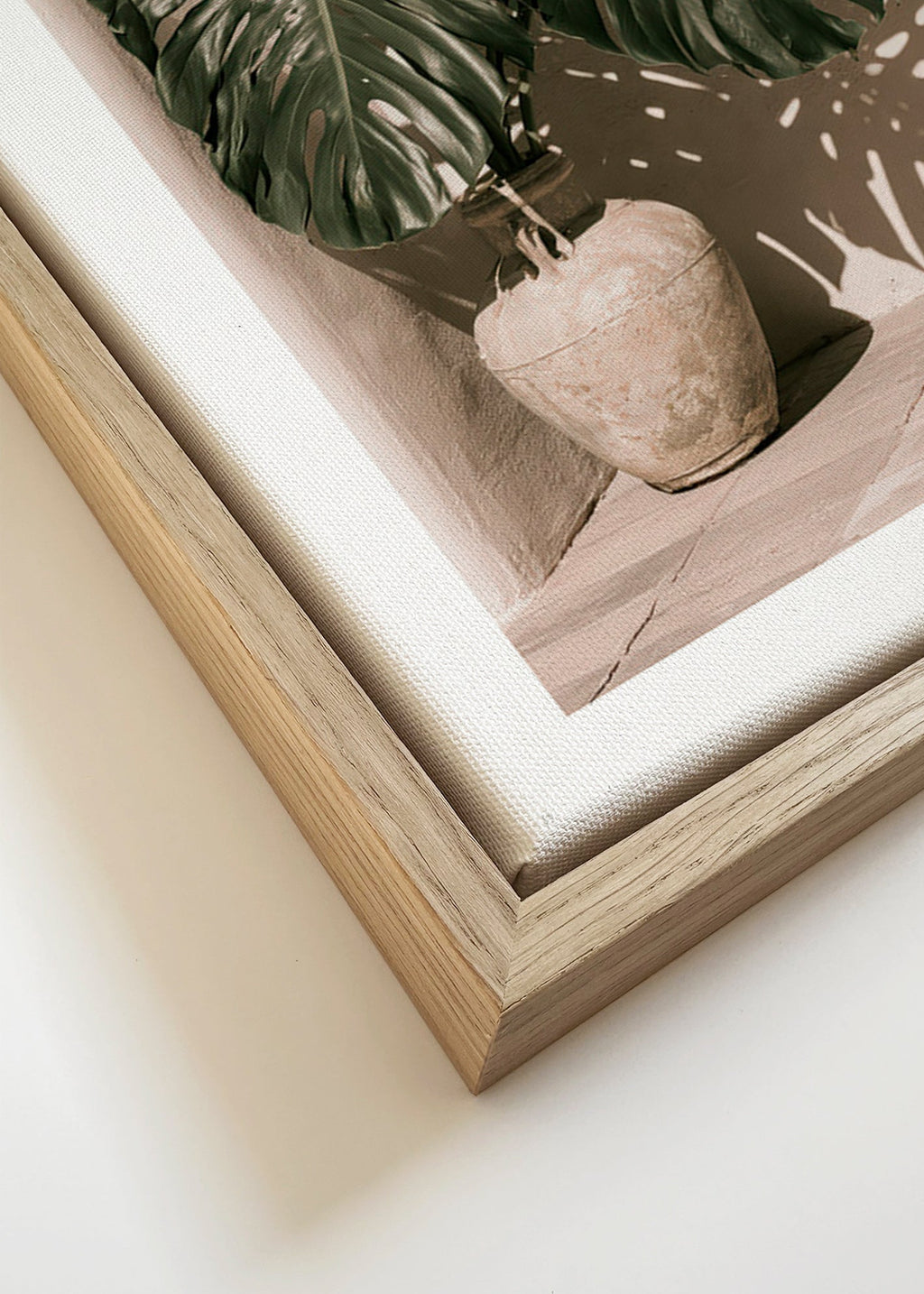 Botanisk plakat Monstera i potte