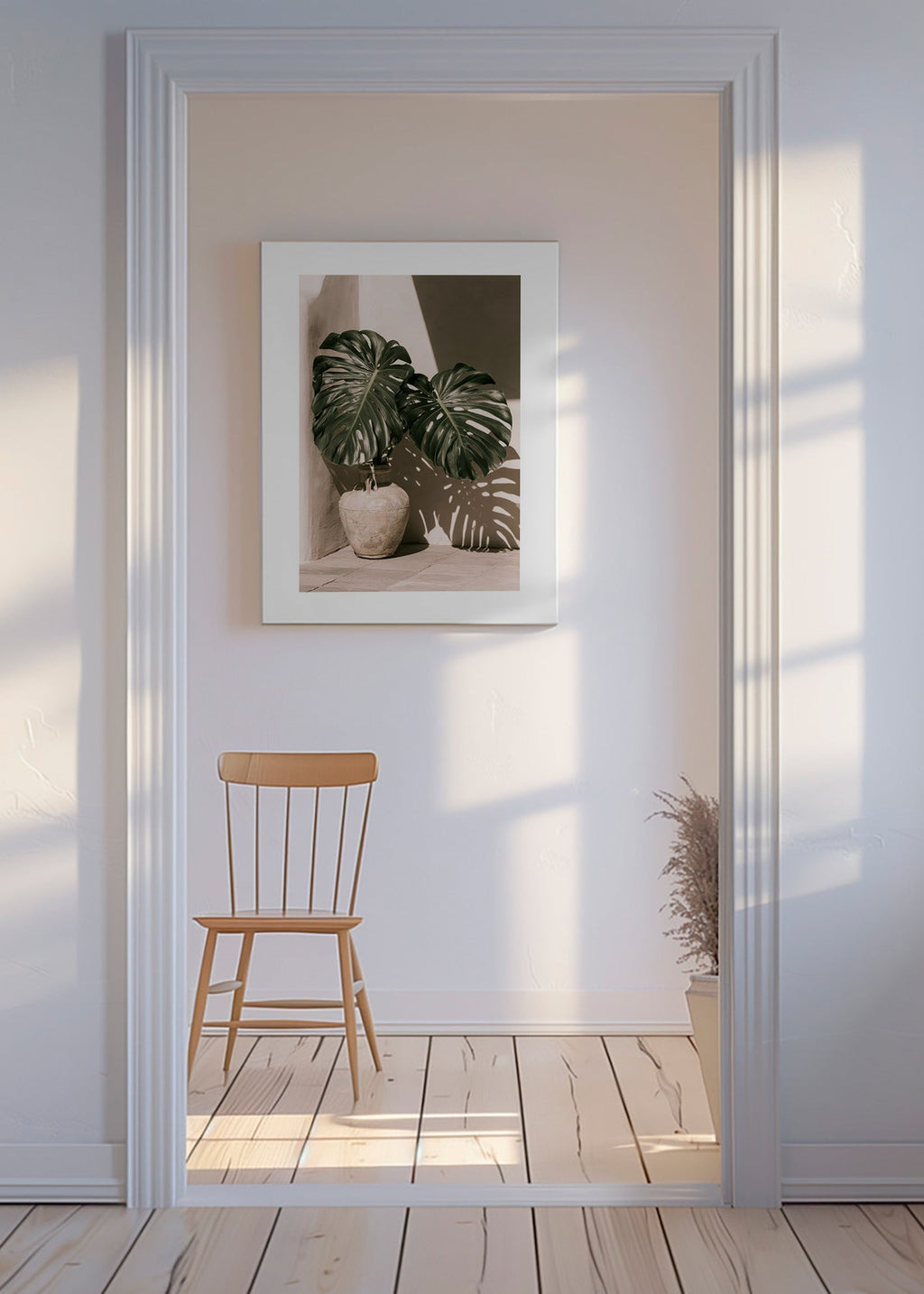 Botanisk plakat Monstera i potte