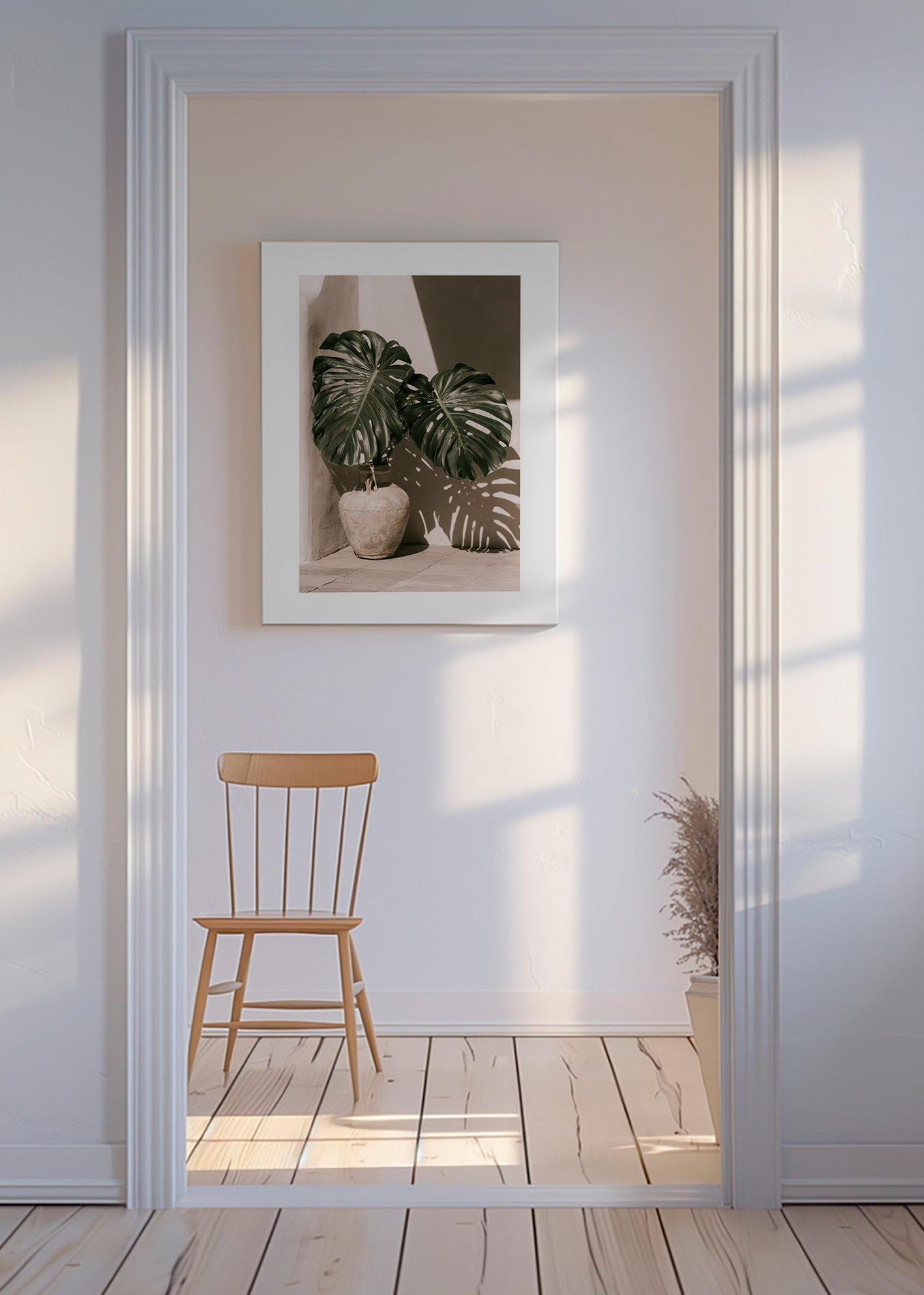 Botanisk plakat Monstera i potte
