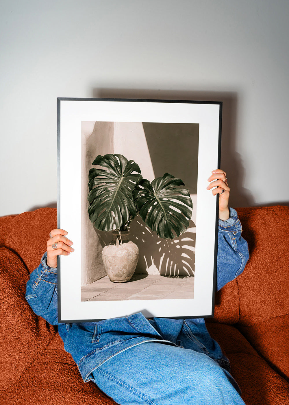Botanisk plakat Monstera i potte