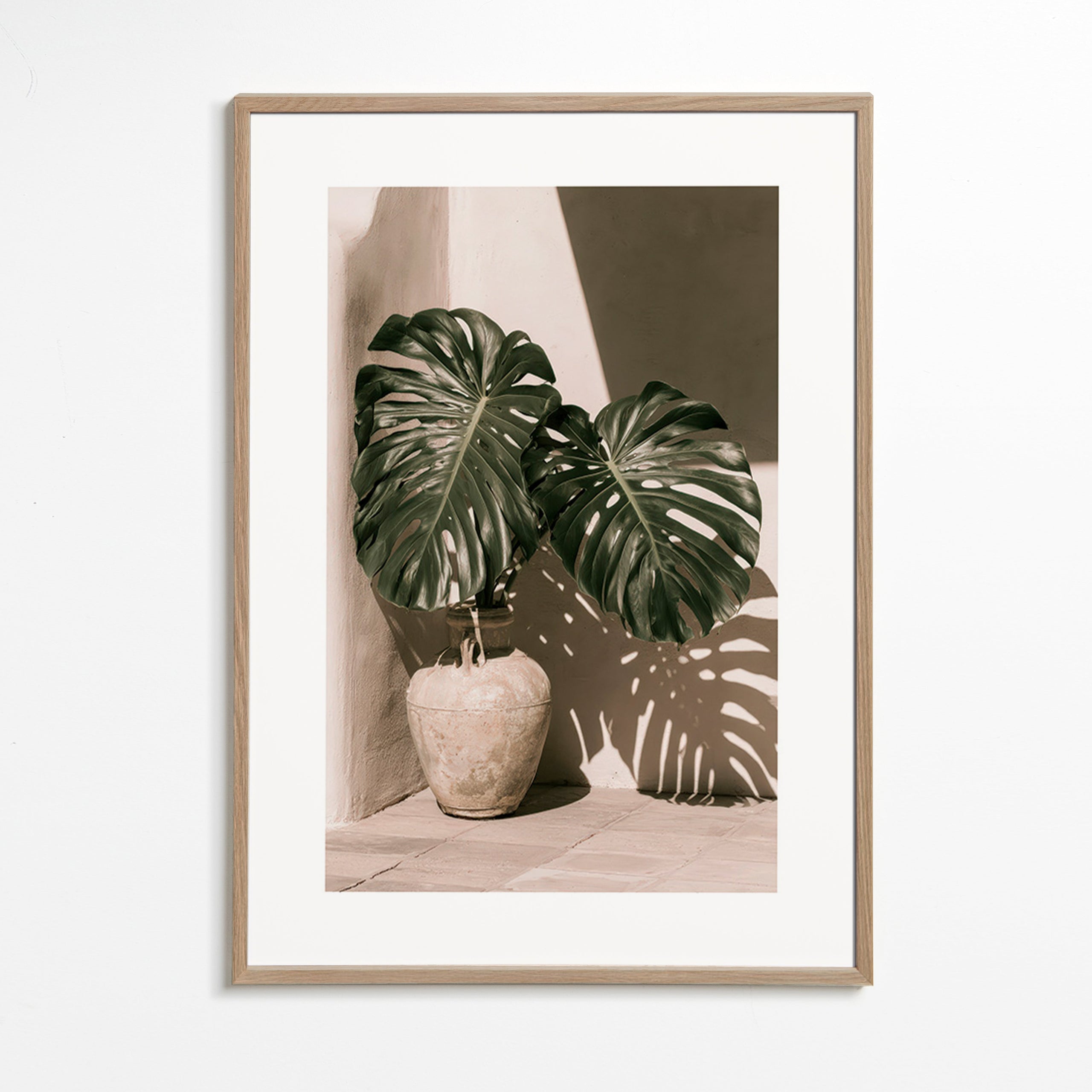 Botanisk plakat Monstera i potte