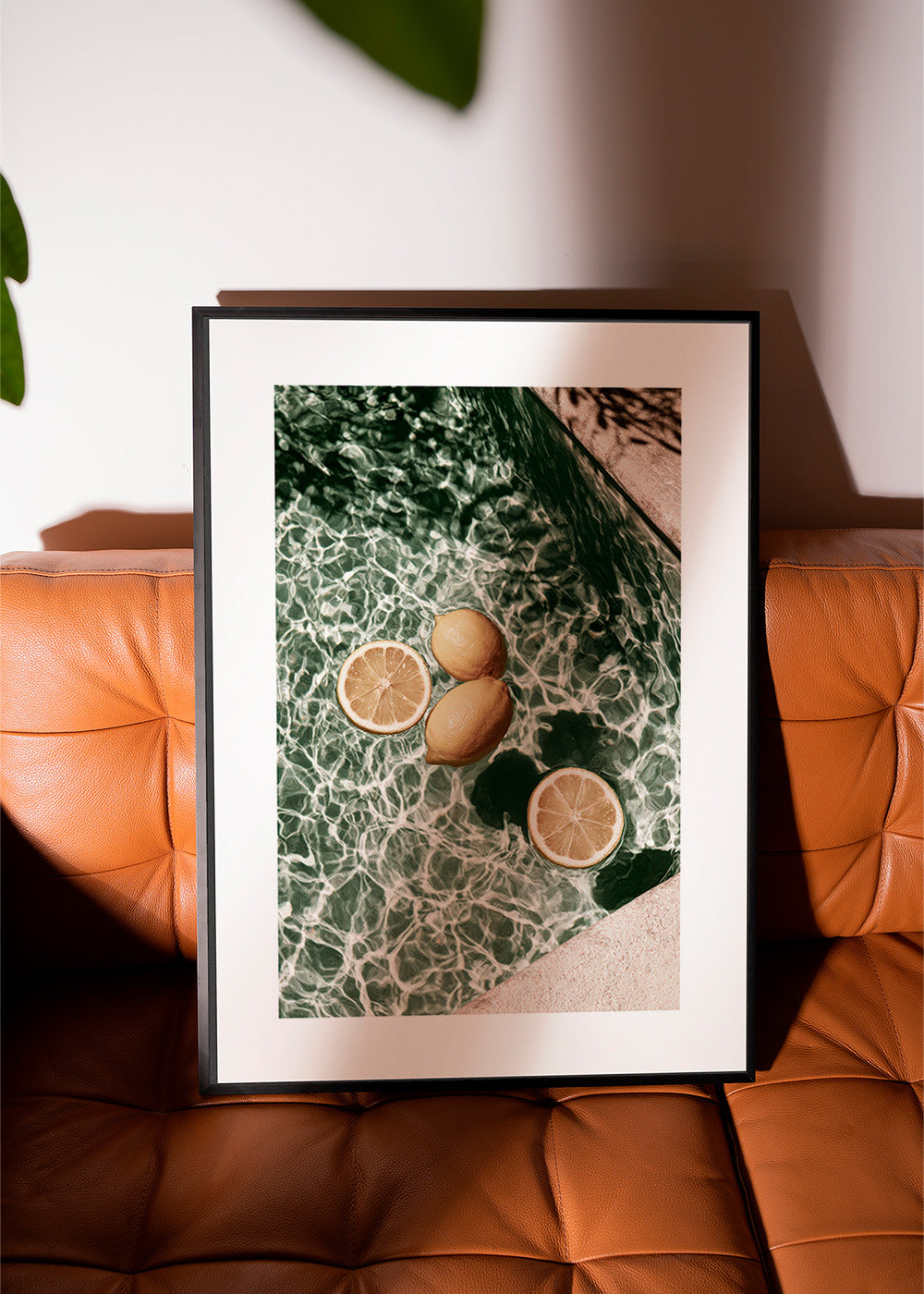 Køkkenkunst Citrons i pool